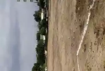 أراضي للبيع