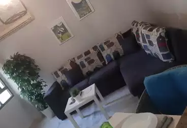 Apartments For rent - 1 rooms - floor 0