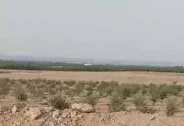 أراضي للبيع
