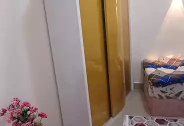 Apartments For rent - 1 rooms - floor 0