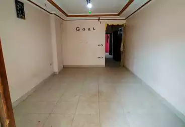 Apartments For rent - 2 rooms - floor 11