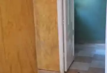 Apartments For rent - 2 rooms - floor 4