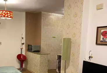 Apartments For rent - 1 rooms - floor 0