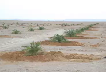 أراضي للبيع