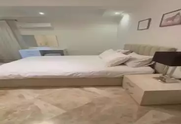Furnished Apartment For rent - 1 rooms - floor 1