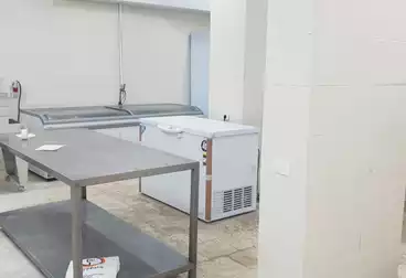 Factory For sale