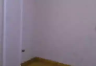 Apartments For rent - 3 rooms - floor 5