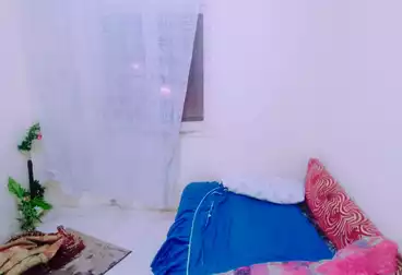 شقق مفروشة للإيجار - 2 غرف - بالدور 5