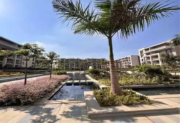 شقق للبيع - 3 غرف - بالدور 0