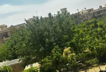 Apartments For sale - 3 rooms - floor 1