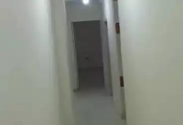 Apartments For rent - 3 rooms - floor 3