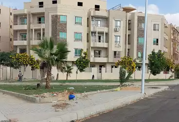 دوبلكس للبيع - 3 غرف - بالدور 0