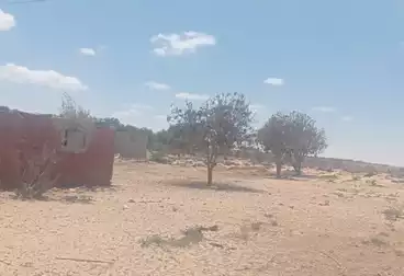 أرض زراعية للبيع