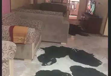 Furnished Apartment For sale - 3 rooms - floor 2
