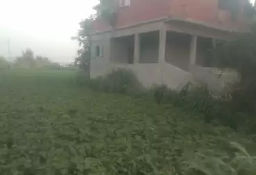 أرض زراعية للبيع