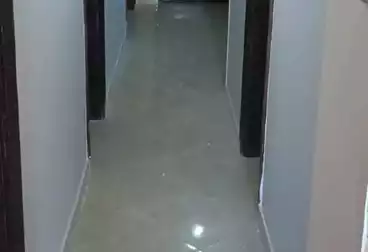 Apartments For rent - 3 rooms - floor 3