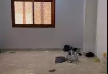 Apartments For rent - 2 rooms - floor 10