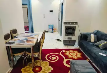 شقق مفروشة للإيجار - 3 غرف - بالدور 10
