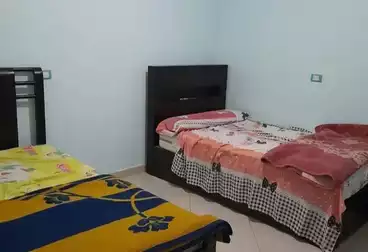 شقق مفروشة للإيجار - 3 غرف - بالدور 12
