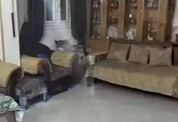 Apartments For sale - 2 rooms - floor 1
