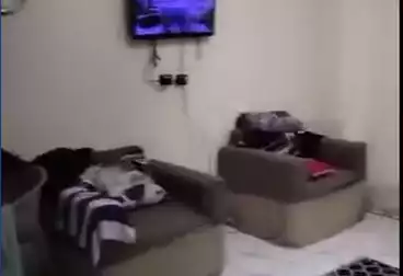 undefined undefined - 3 rooms - floor 11