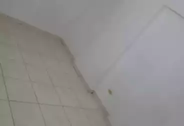 undefined undefined - 3 rooms - floor 2