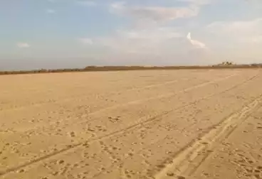Farm For sale