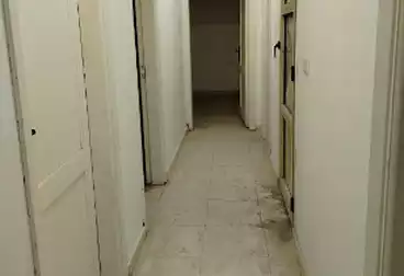 مصنع للإيجار