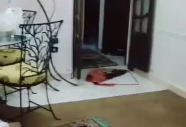 Properties For sale - 2 rooms - floor 1