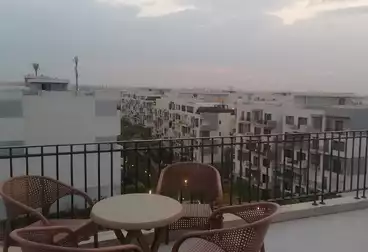 Properties For rent - 1 rooms - floor 4