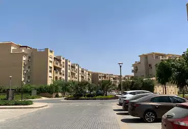 شقة بحديقة للبيع - 2 غرف - بالدور 0