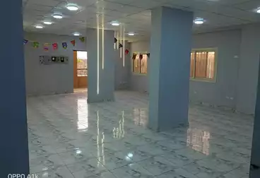 إداري للإيجار - 1 غرف - بالدور 1