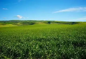 Farm For sale