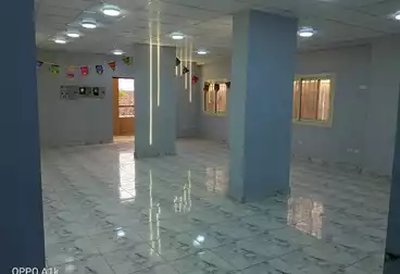 إداري للإيجار - 3 غرف - بالدور 1