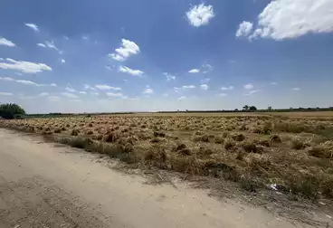 أرض زراعية للبيع
