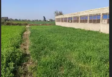 Farm For sale