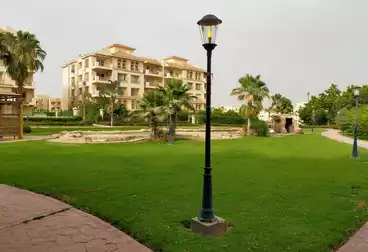 Apartments For rent - 3 rooms - floor 2