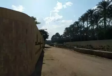 Farm For sale