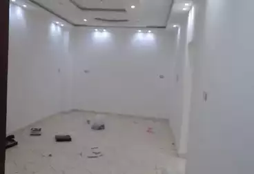 Apartments For rent - 3 rooms - floor 5
