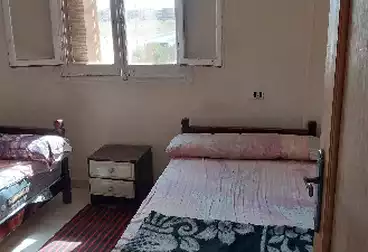 عقارات للإيجار - 2 غرف - بالدور 2
