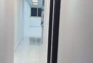 Apartments For rent - 3 rooms - floor 2