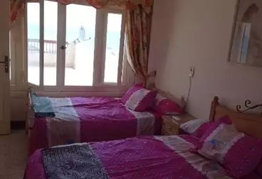 فلل للإيجار - 3 غرف