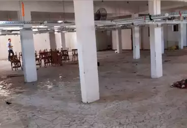 مصنع للإيجار
