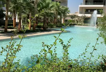 Apartments For rent - 2 rooms - floor 2