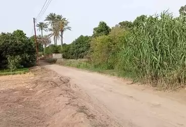 أرض زراعية للبيع