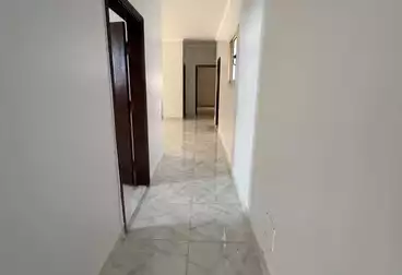 Apartments For rent - 3 rooms - floor 2