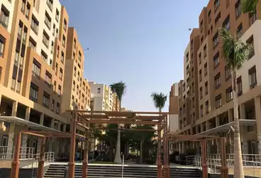 شقق للبيع - 3 غرف - بالدور 2