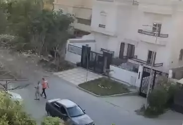 فيلا منفصلة للبيع - 4 غرف