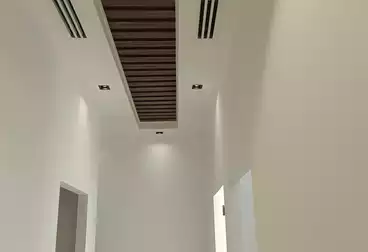 Full Floor Administrative For rent - 29 rooms - floor 2