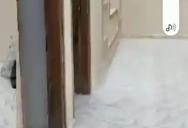 undefined undefined - 3 rooms - floor 1